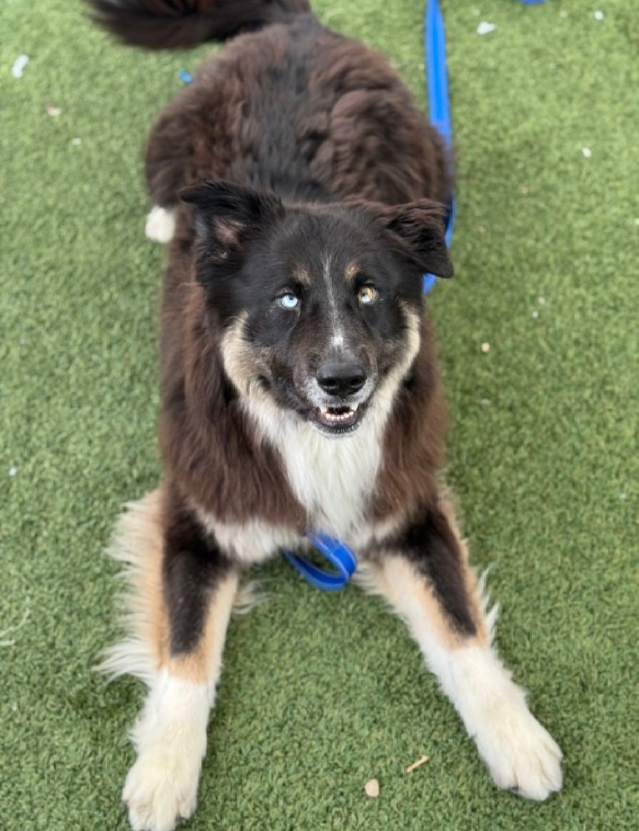 Julie🌻🐾 tweet media