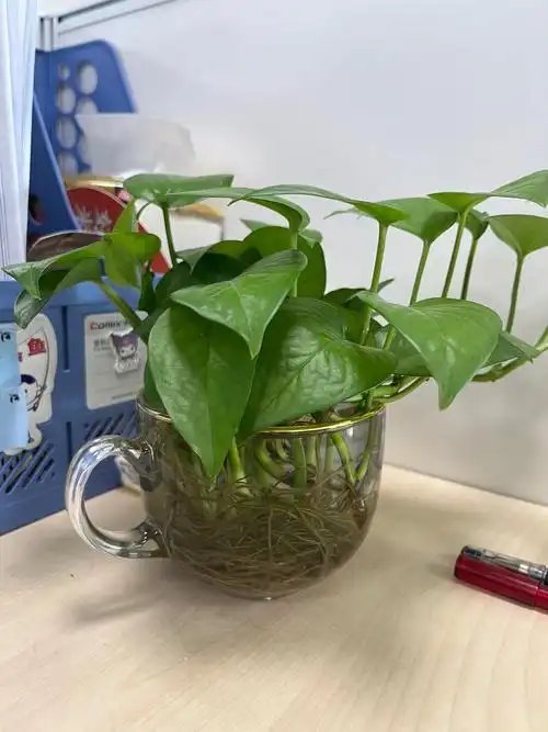 Rob Smith Sr tweet media