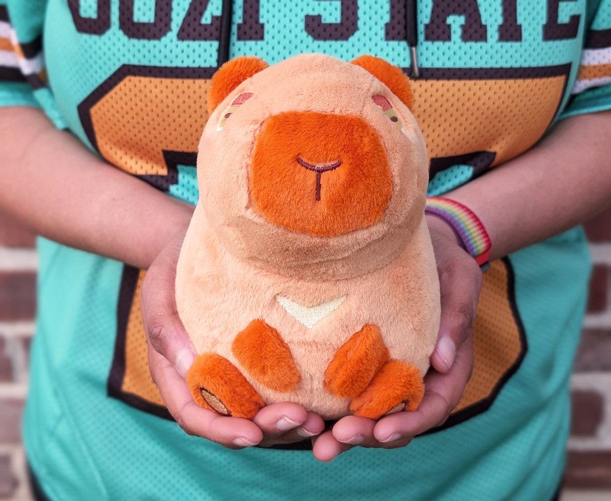 Anxiety Fox tweet media