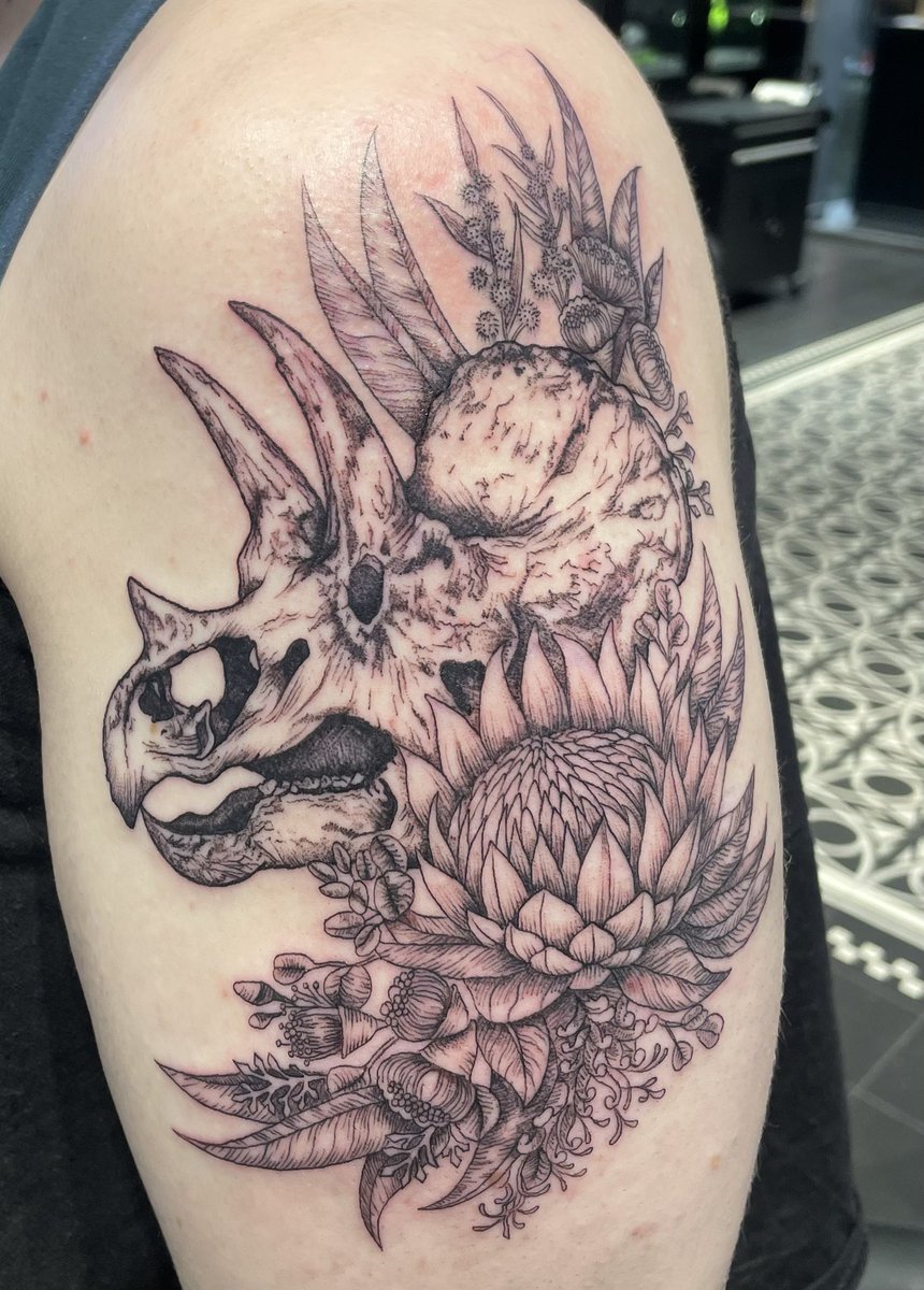 cher 🦖 tweet media