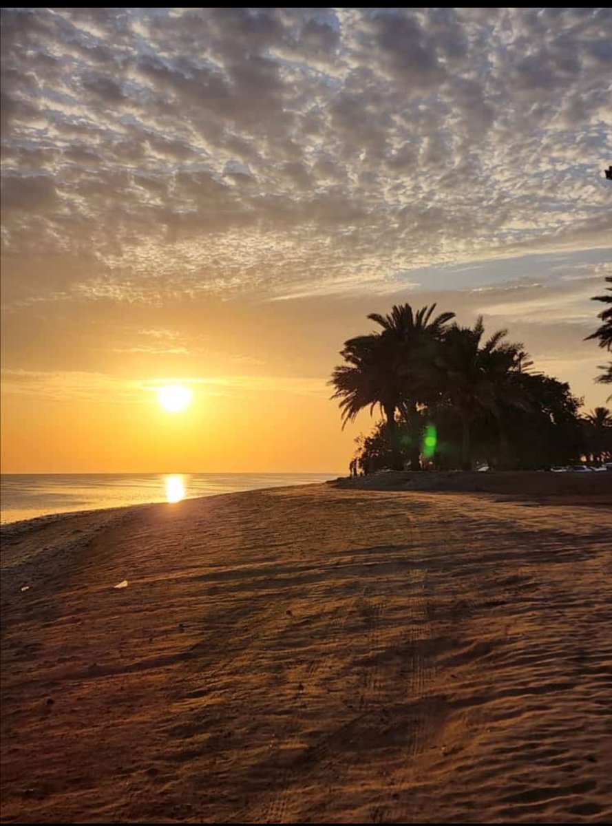 إيڤآ_آل عبداللَّه 🍁 tweet media