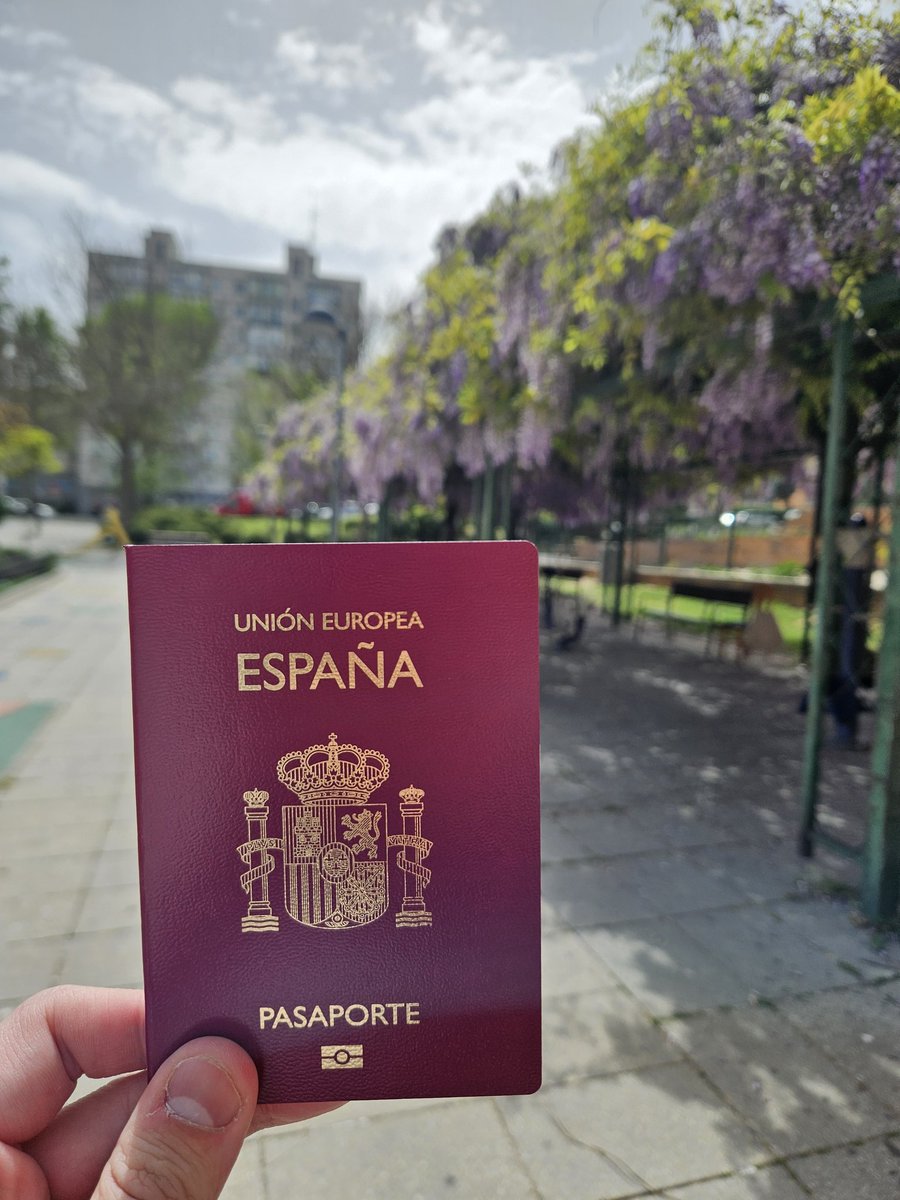 PLP Madrid 🇪🇸 tweet media