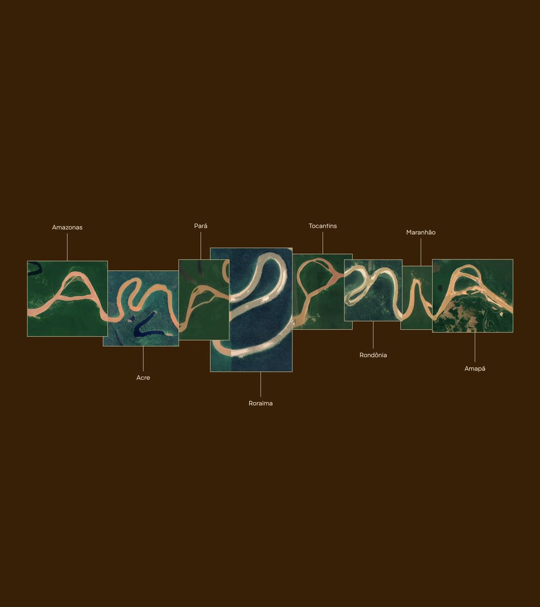 aleksliving's tweet photo. New brand for the Brazilian Amazon. Insane work https://t.co/e80Kake9gd