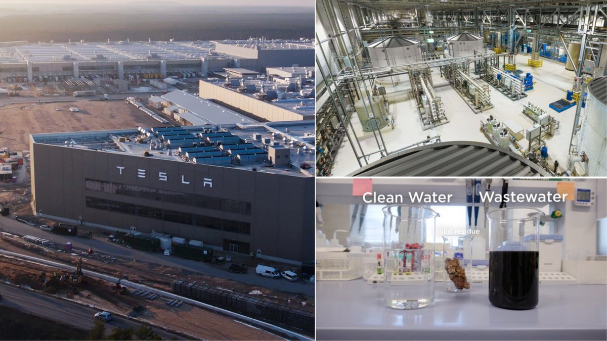 X Freeze tweet media