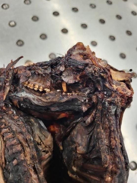 @XTexasGirlX tweet media