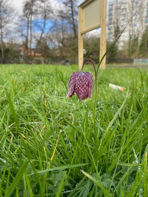 Torfaen Council 🏴󠁧󠁢󠁷󠁬󠁳󠁿🇺🇦 tweet media