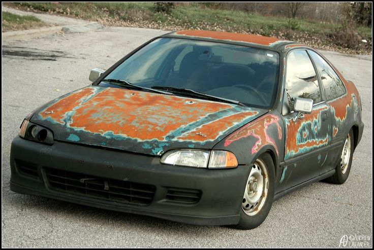 ͓R͓͓a͓͓i͓͓d͓͓e͓͓r͓ ͓T͓͓h͓͓e͓͓o͓͓r͓͓y͓ tweet media