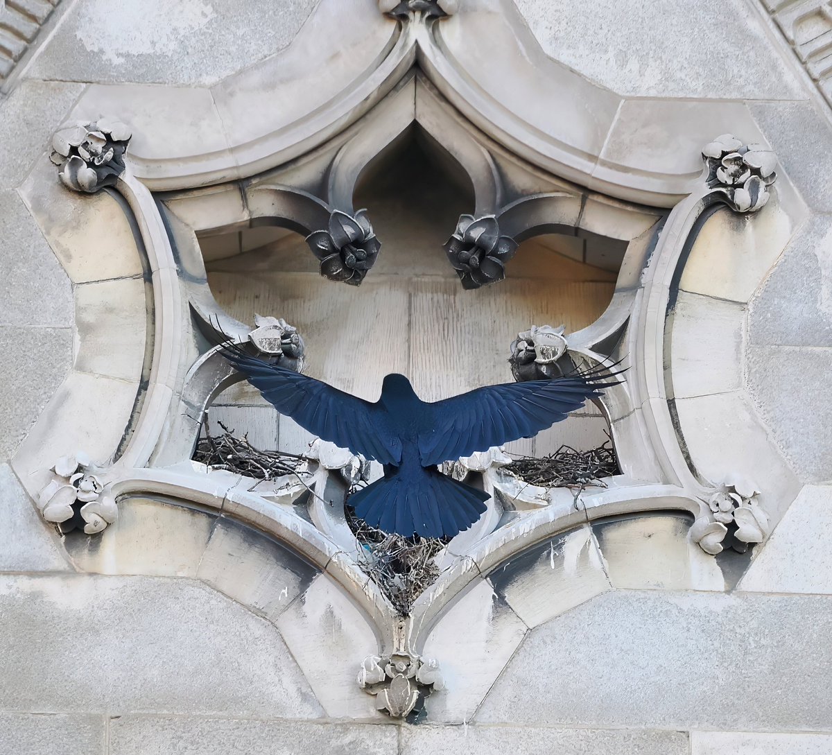 Above_96th tweet media