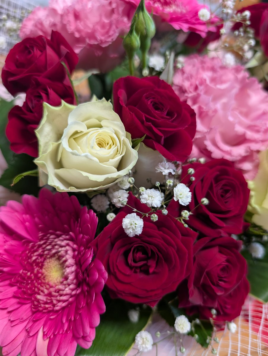 happa🌱 tweet media