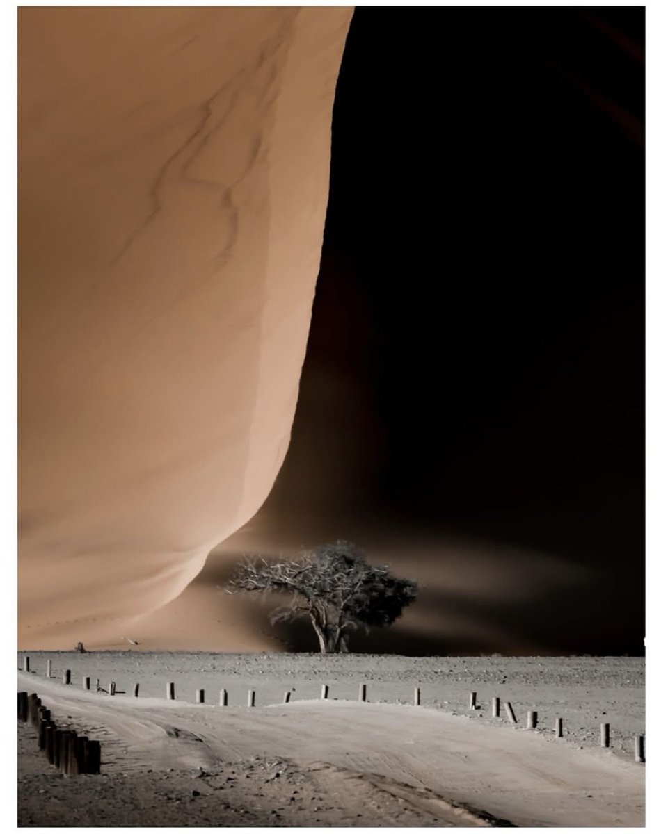 earthcurated's tweet photo. Postcards from Namibia 🇳🇦 https://t.co/uEDDnNF6Mv
