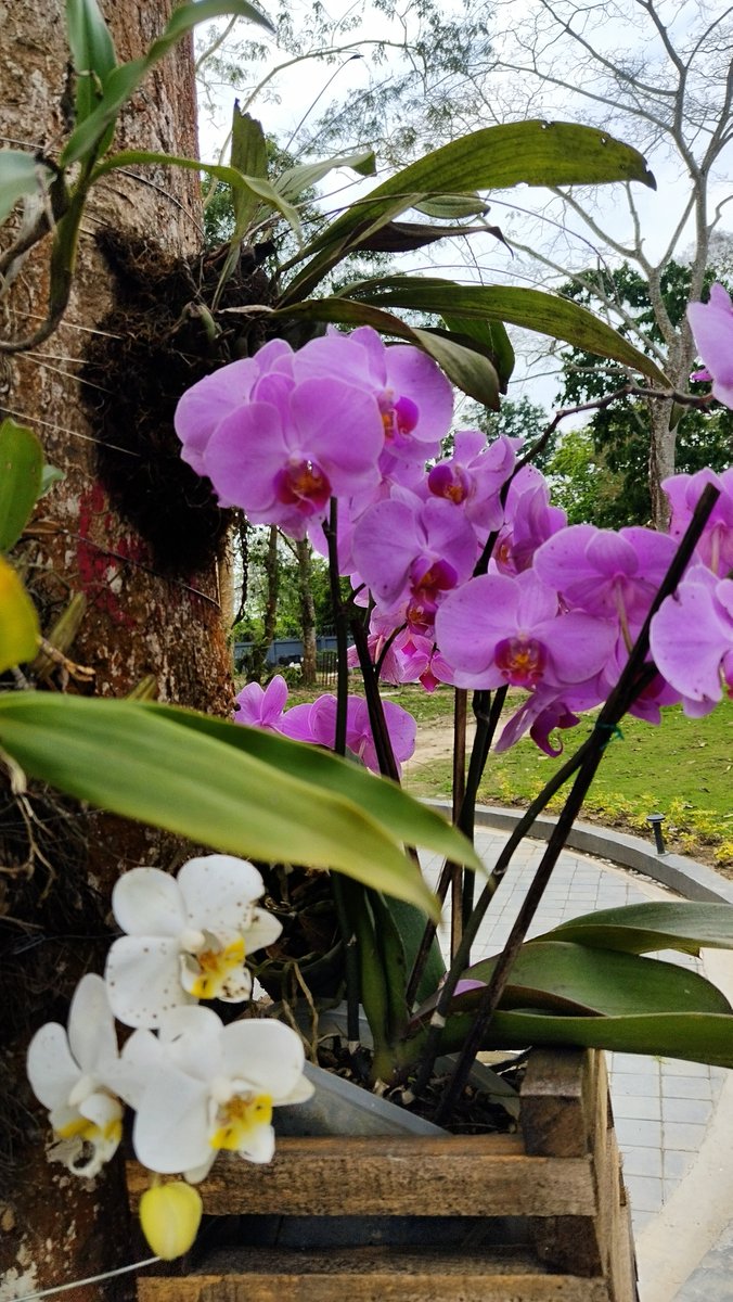 KRISHNA PUZARI tweet media