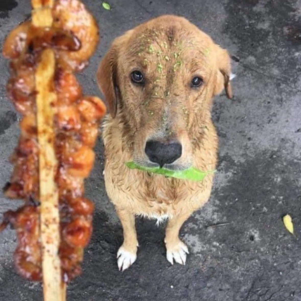 Gusholder Haber Bülteni tweet media