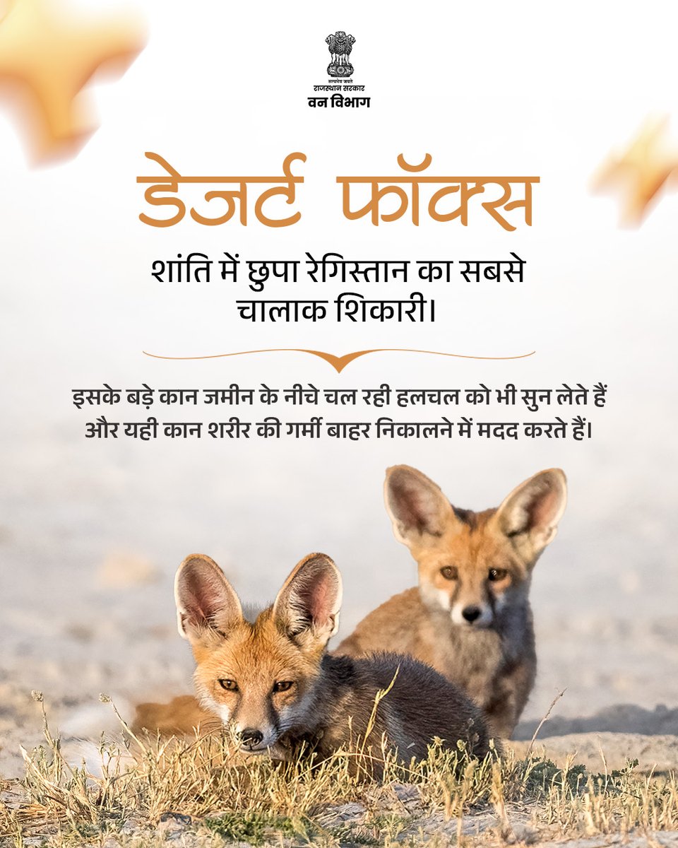 ForestRajasthan's tweet photo. रेगिस्तान केवल रेत का विस्तार नहीं है… यहाँ हर कदम पर एक कहानी बसती है जीवन की, संघर्ष की और प्रकृति के संतुलन को बनाए रखने की।

आइए, इन अनकही कहानियों को समझें और इस अनमोल पारिस्थितिकी तंत्र के संरक्षण में अपनी भूमिका निभाएँ। 

#DesertLife #rajasthanwildlife #NatureBalance #HiddenWorld #ConservationIndia
