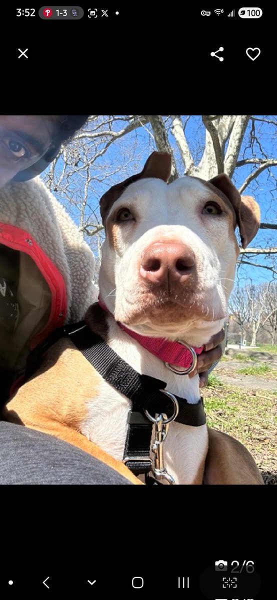 Julie🌻🐾 tweet media