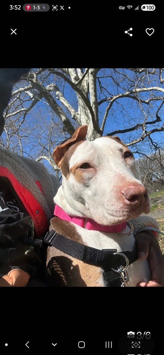 Julie🌻🐾 tweet media