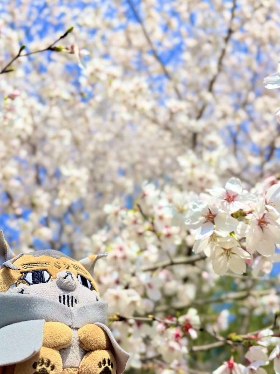 うちのほぜち tweet media