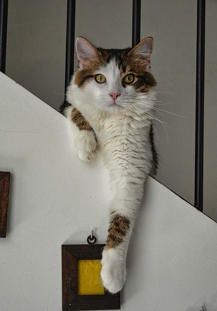 Patricia Feudner tweet media