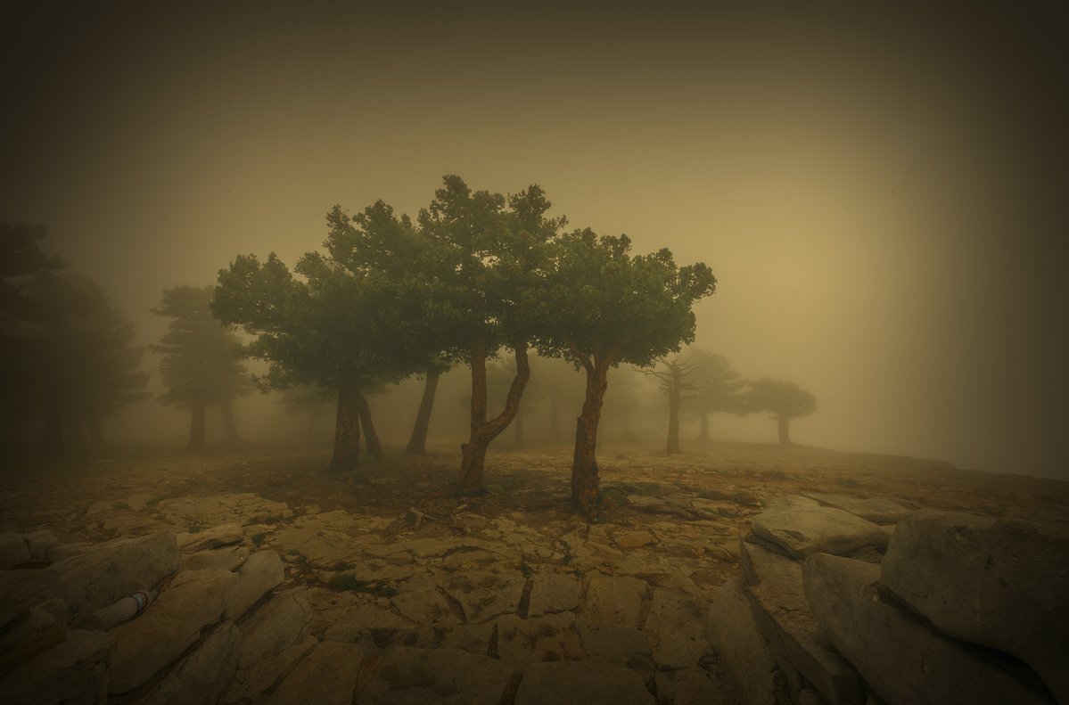 chip simons tweet media