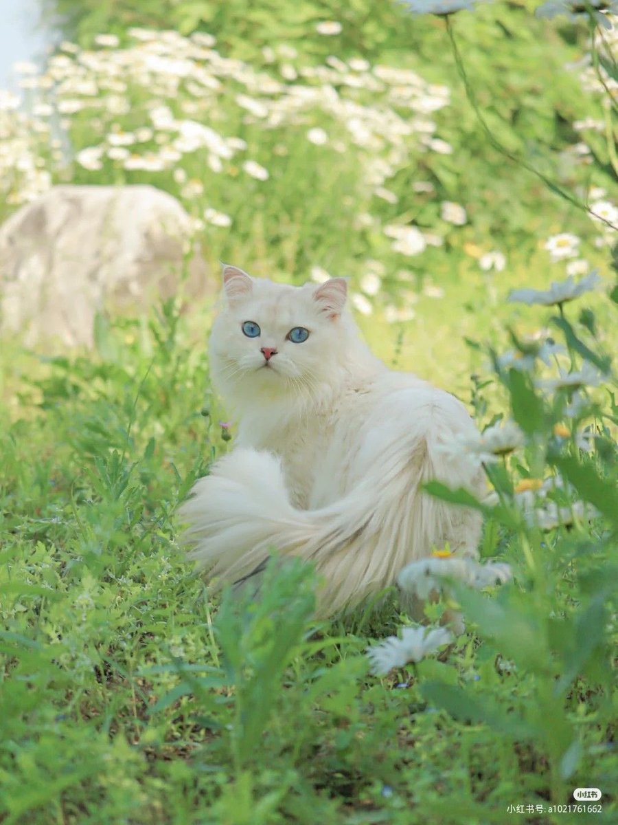 Purely Green tweet media