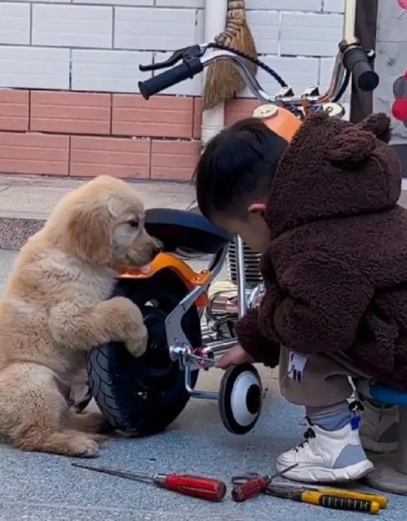 Ashvin Bhoyar tweet media