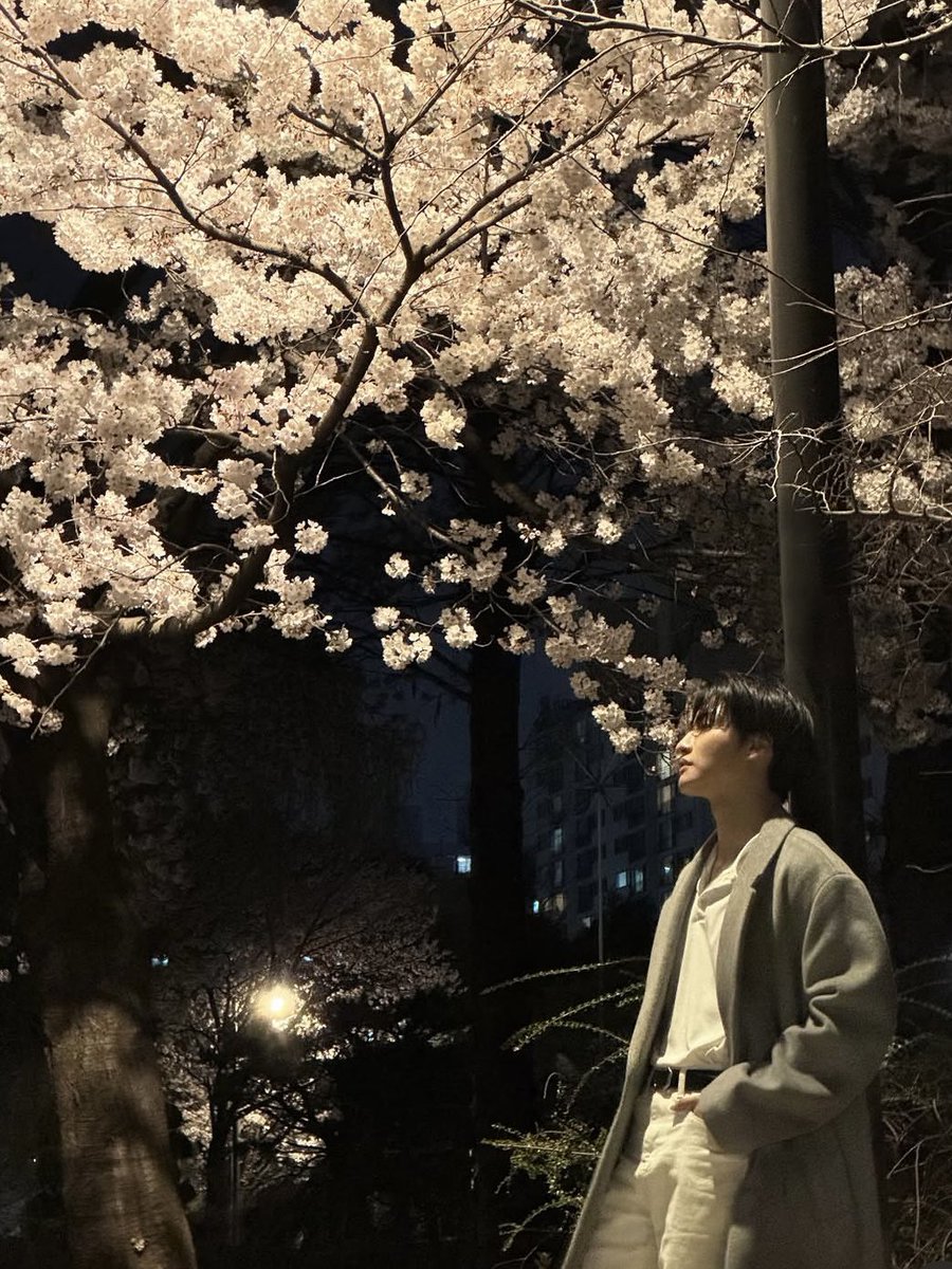 チェゴサジンPart.1🌸
やばい最高桜が似合うそんふぁさん😭💓