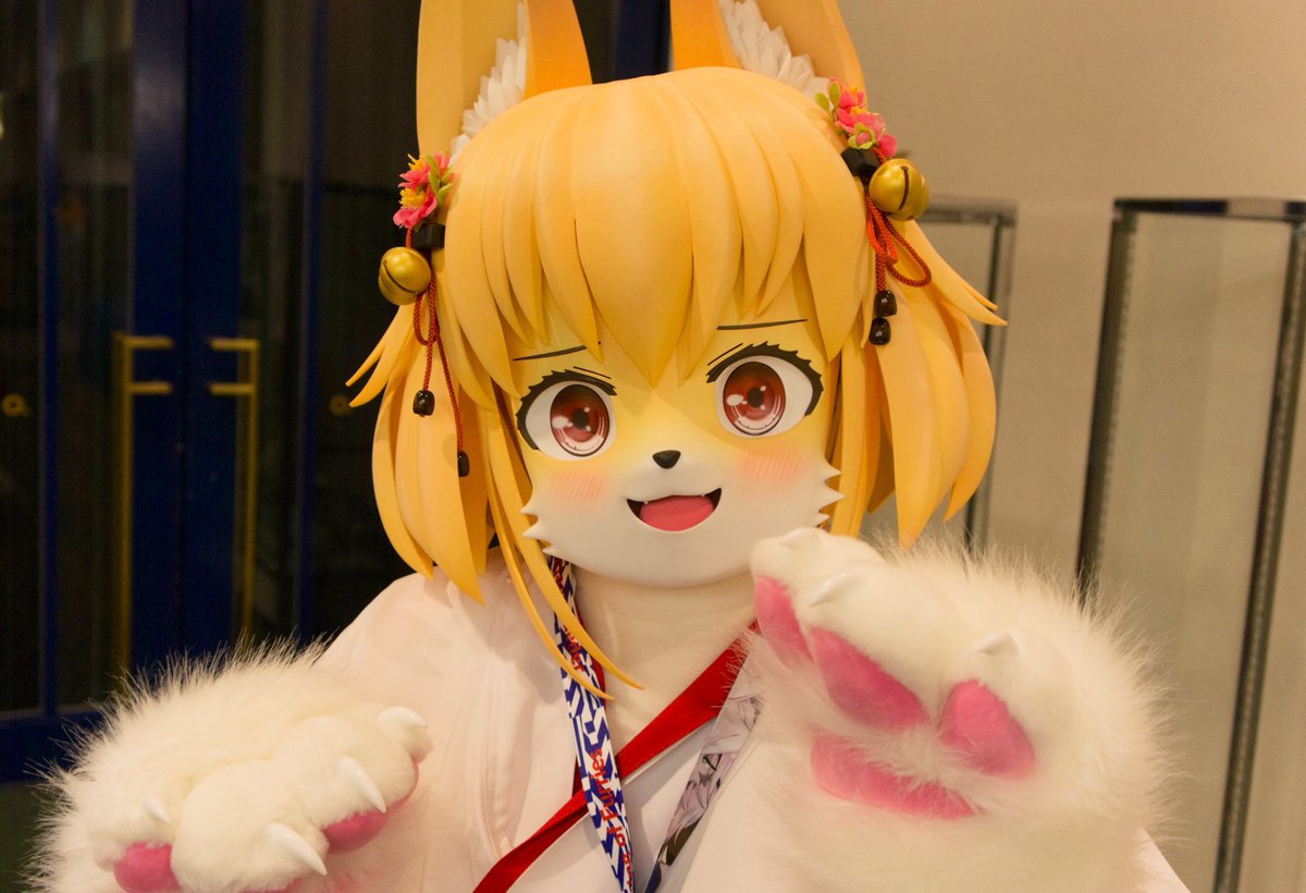 月白しのん🧪🐾🩵🩷 tweet media