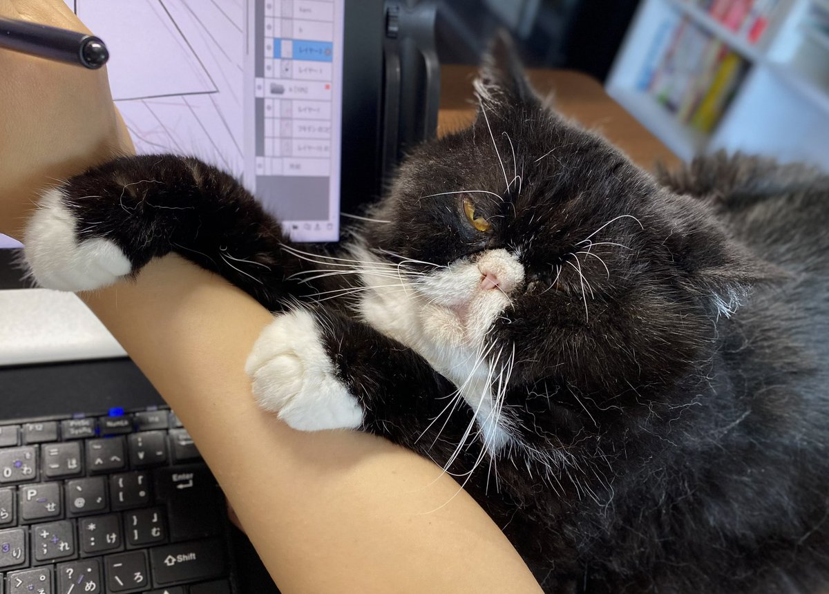 嶋二💋みだ猫最終巻3/3発売 tweet media