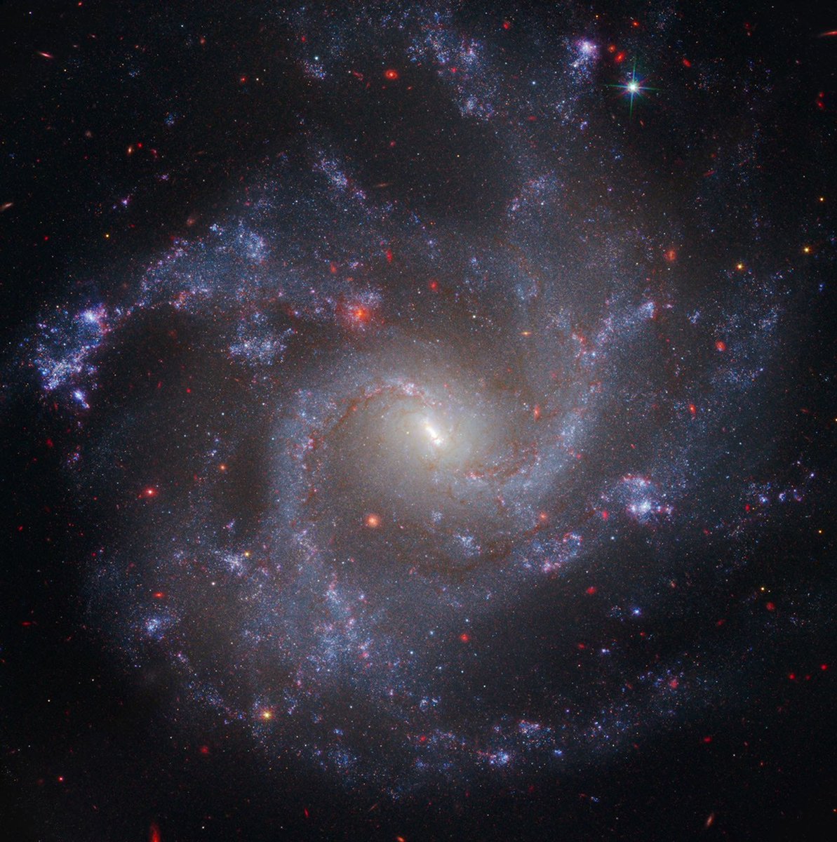 Space Telescope Science Institute tweet media