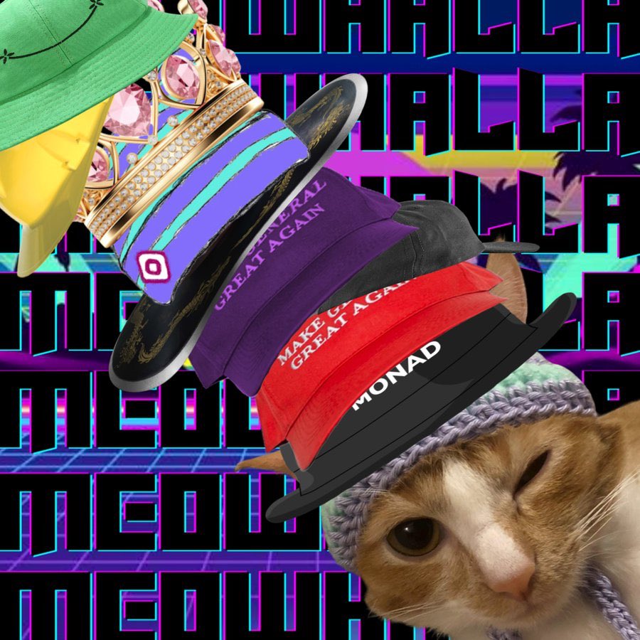 kiwi wif hat tweet media