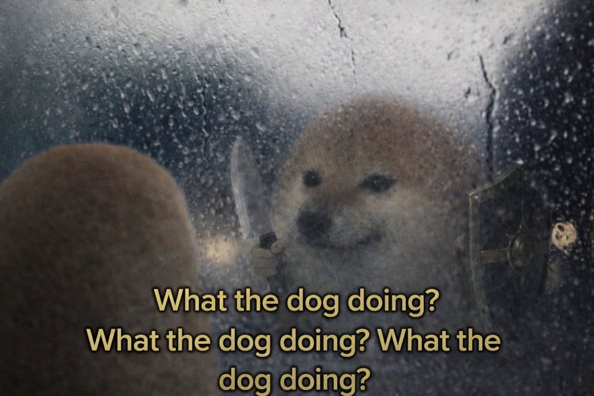 whatthedogdoins's tweet image. The legend says if you chant 'What the dog doing?' in front of a mirror 3 times 

You might find out what the dog doing…