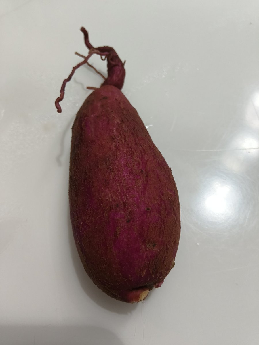 Dana Doll tweet media