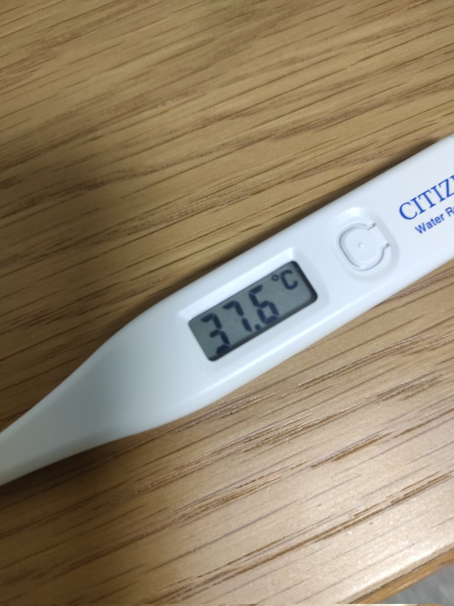 かずき / ゆるく生きる tweet media