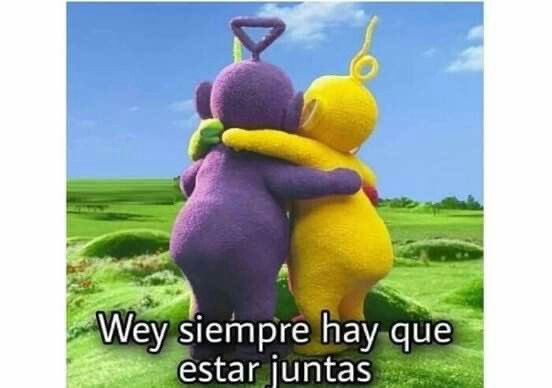 alba ʚଓ hiatus tweet media