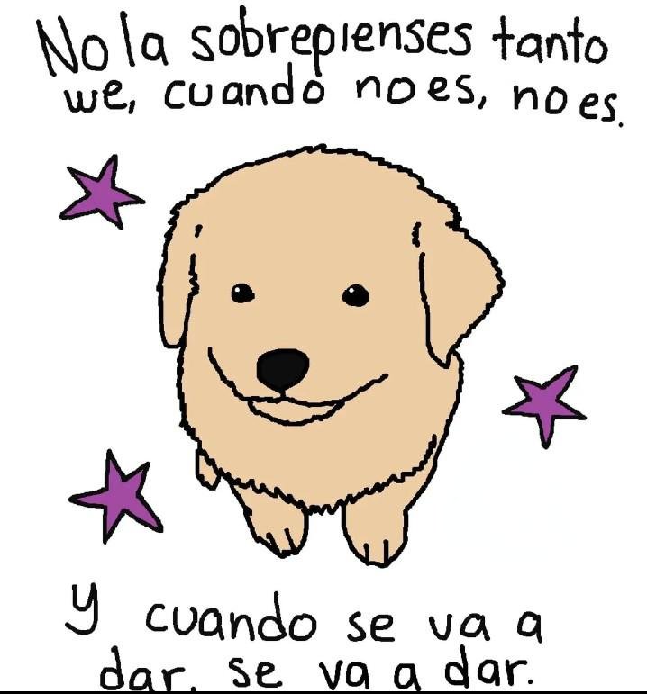 Rodaskortt tweet media