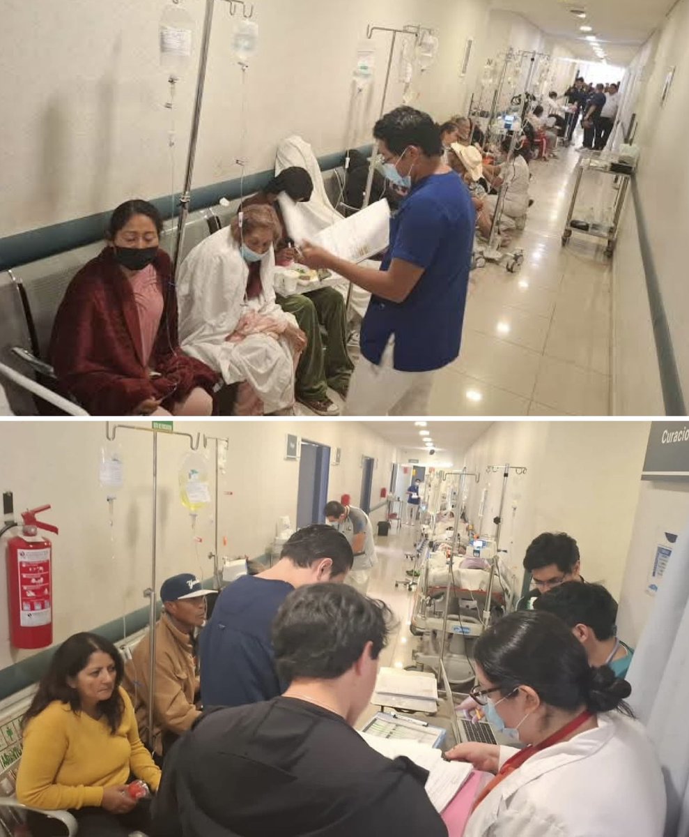 𝐀𝐯𝐬𝐞 𝐅𝐞𝐫𝐧𝐚𝐧𝐝𝐨 𝐅𝐥𝐨𝐫𝐞𝐬 tweet media