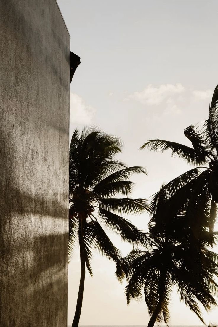 مُعاذ السرور . tweet media