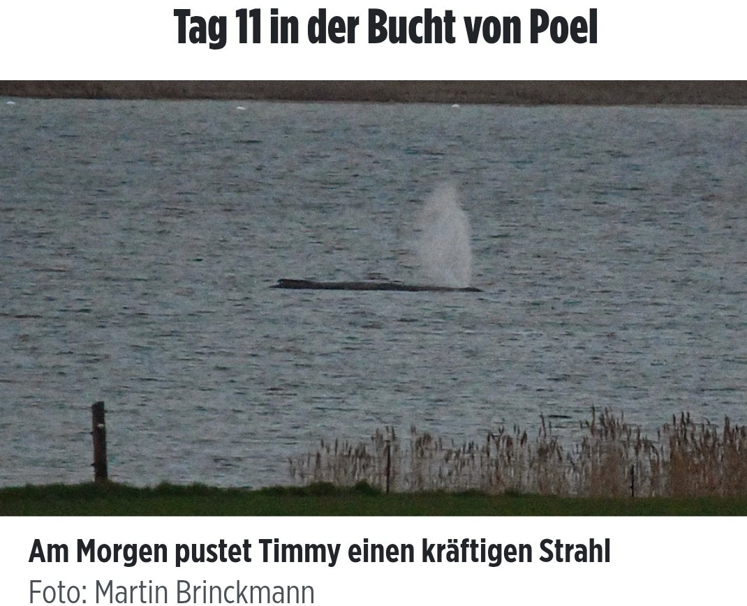 Shlay ️🐦 tweet media