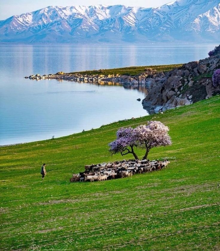 𝒍𝒖𝒏𝒂 tweet media