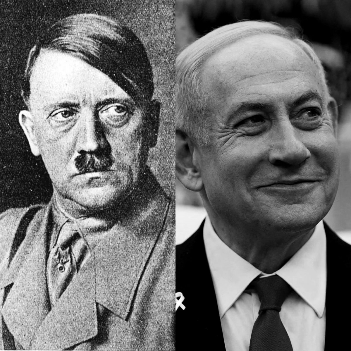 The Aging Rebel tweet media