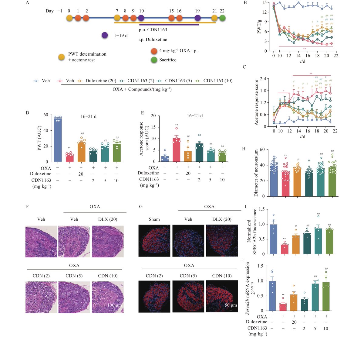 Chinese Journal of Natural Medicines tweet media