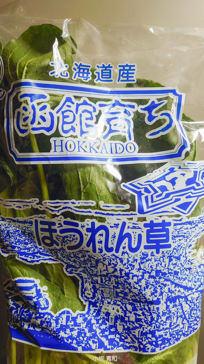 石山真理恵 tweet media