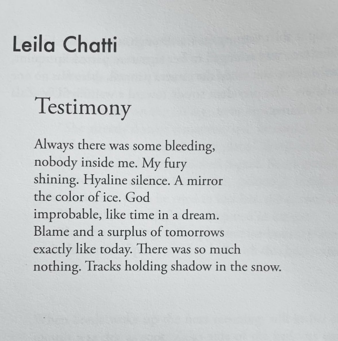 Mag Gabbert tweet media