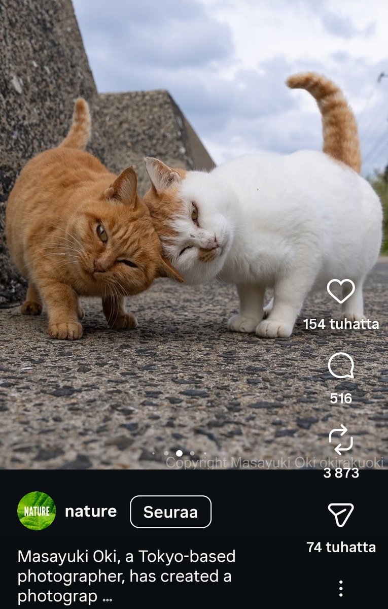 P&M² ♏🐱📸📚🎨🎶💃🍷🏳️🌈🏳️⚧️❤ tweet media