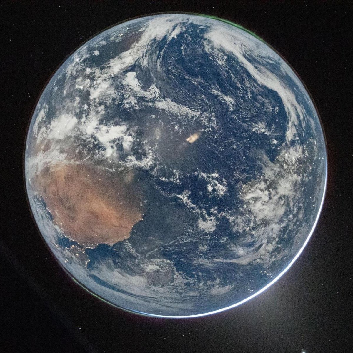 FactPost tweet media