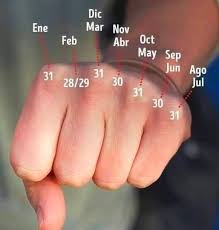 Lean N Borquez Zuloaga 🇦🇷 ⭐⭐⭐ tweet media