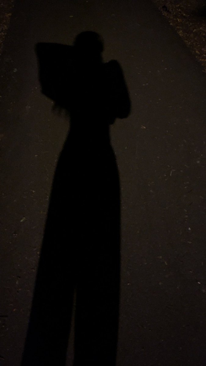 Miamune's tweet photo. Warm enough for late night walks again https://t.co/ilMF41Zh09
