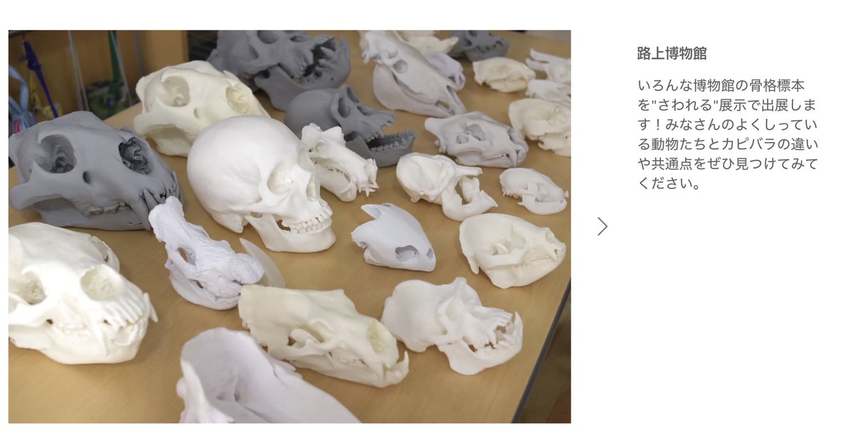 柿崎俊道@聖地会議 tweet media