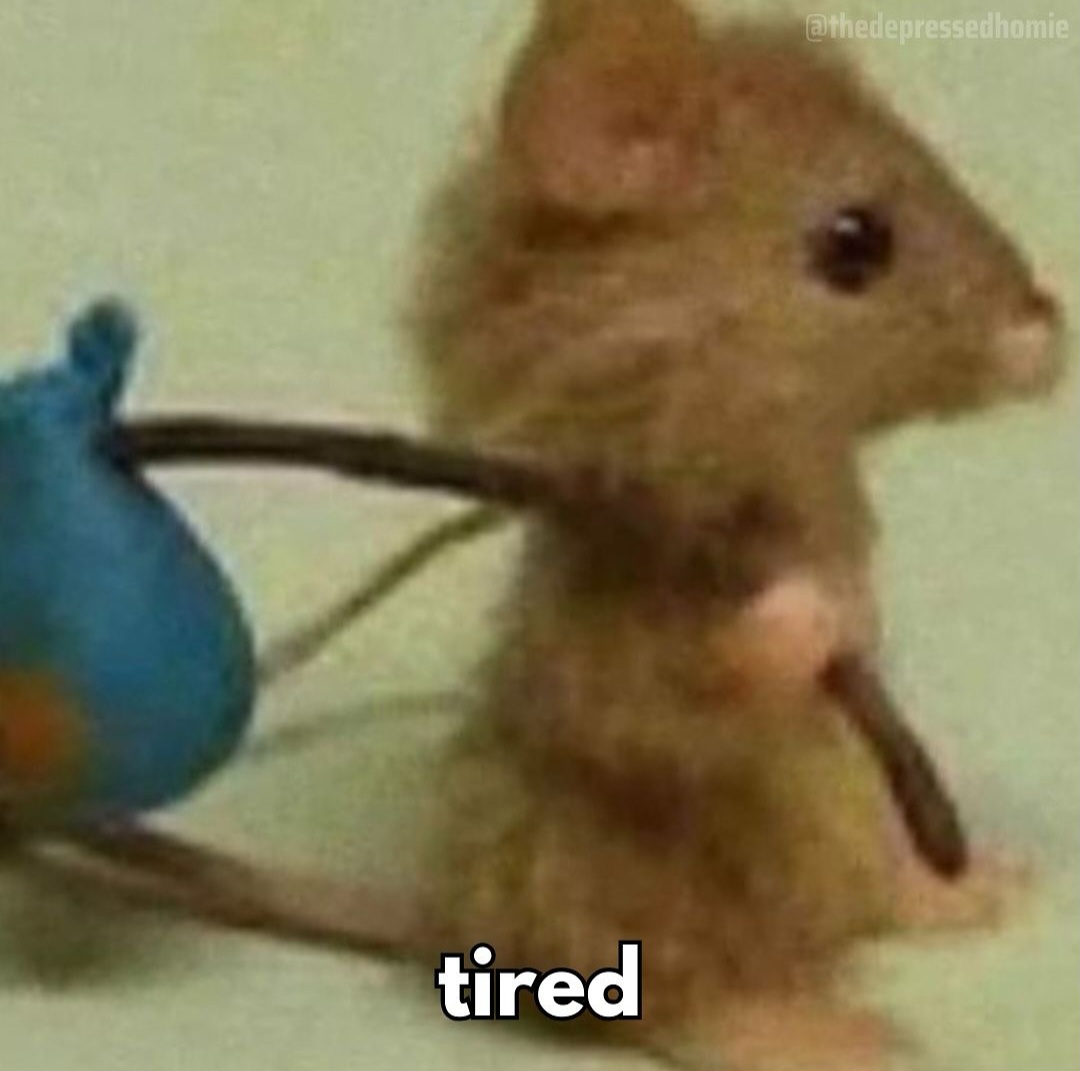 Lucrezia 🪷 tweet media