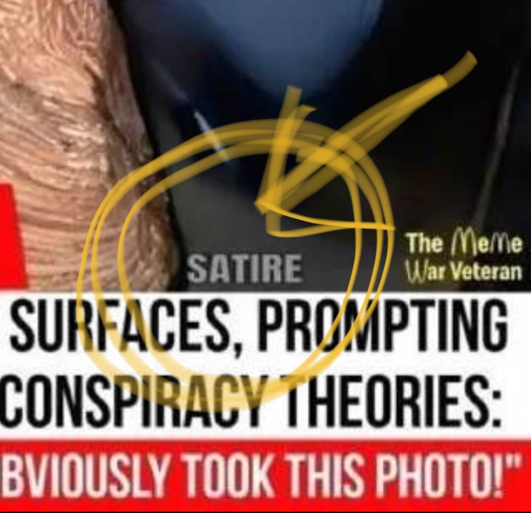 SpeQl@tion tweet media