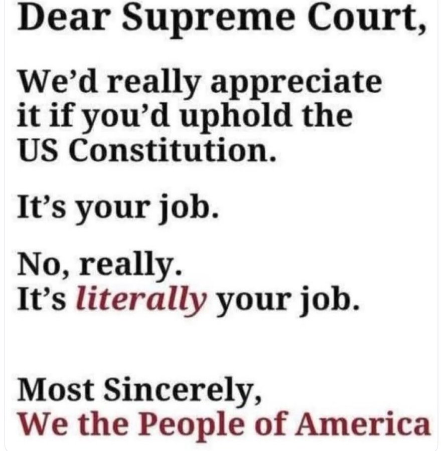 GiGi Gator Girl tweet media